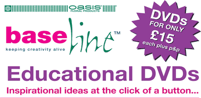 Baseline Education