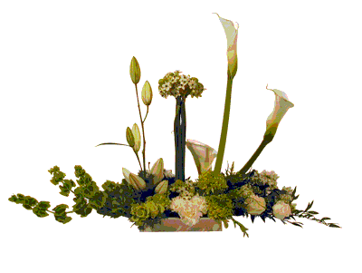 Horizontal Arrangement