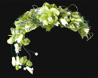 Head Dress