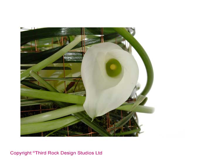 Caged Lily Table Arrangement