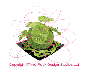 Covered Sphere Floral Arrangement