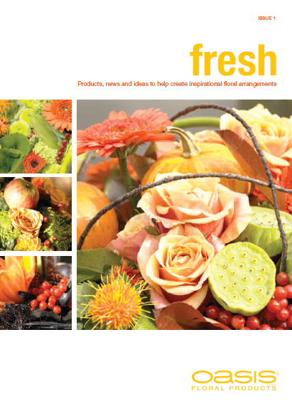Issue 1