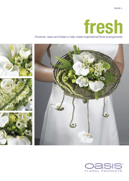 Issue 3