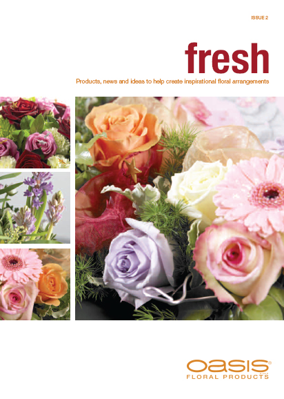 Issue 2