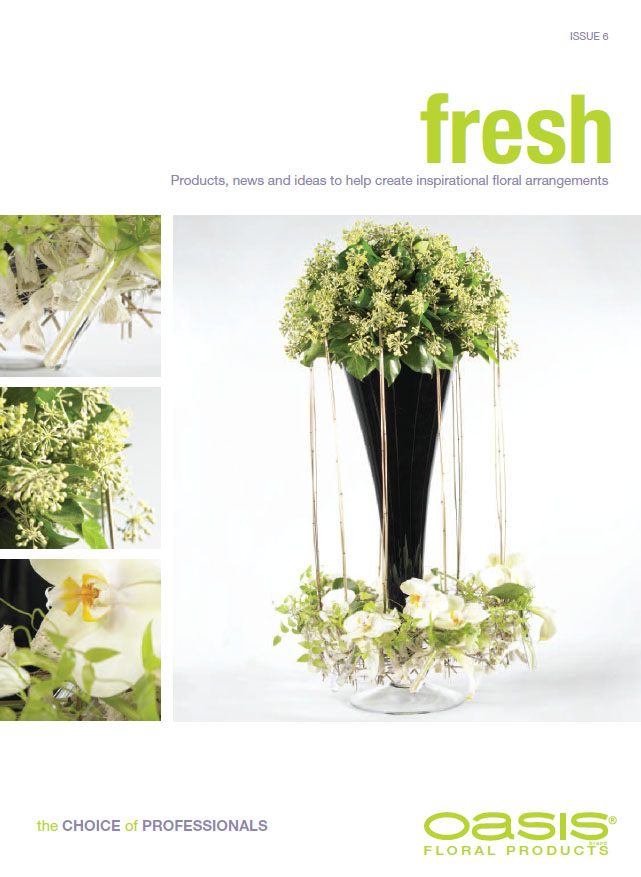 Issue 6