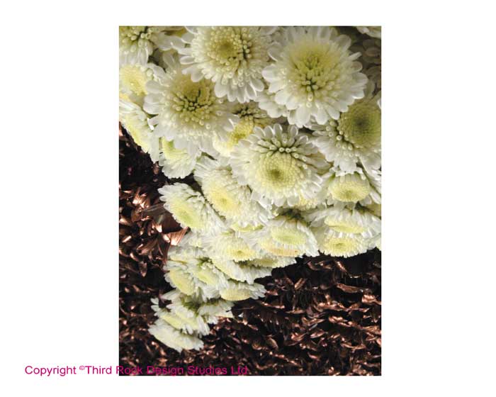 Design Sheet