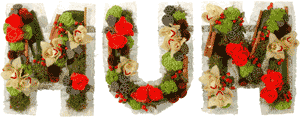 Textured MUM