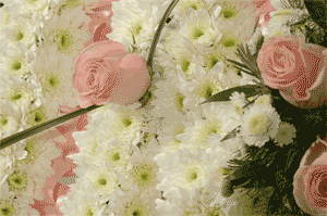 Traditional MUM